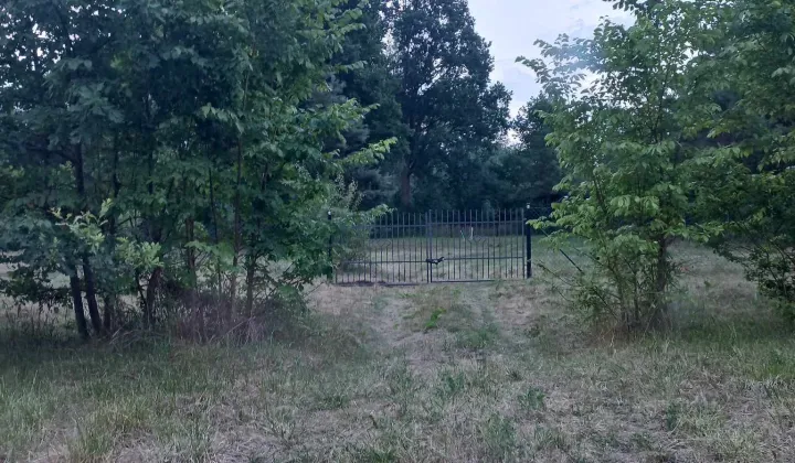 Działka siedliskowa Brzozówka