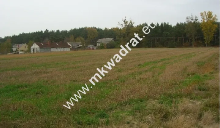 Działka rolna Mistrzewice