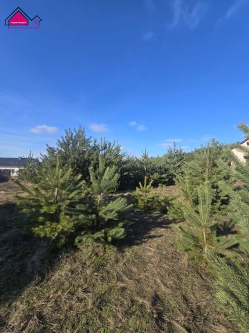 Działka budowlana Anastazewo. Zdjęcie 5