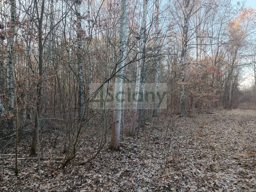 Działka budowlana Ojrzanów. Zdjęcie 10