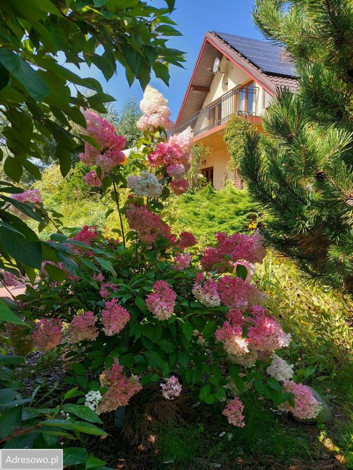 dom wolnostojący, 6 pokoi Piotrków Trybunalski. Zdjęcie 3