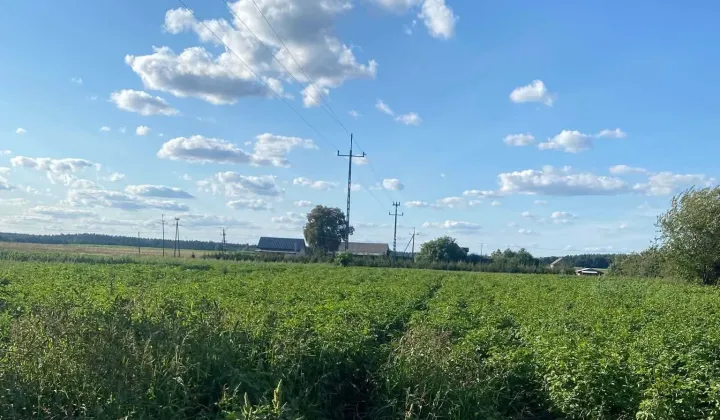 Działka budowlana Ostrowo