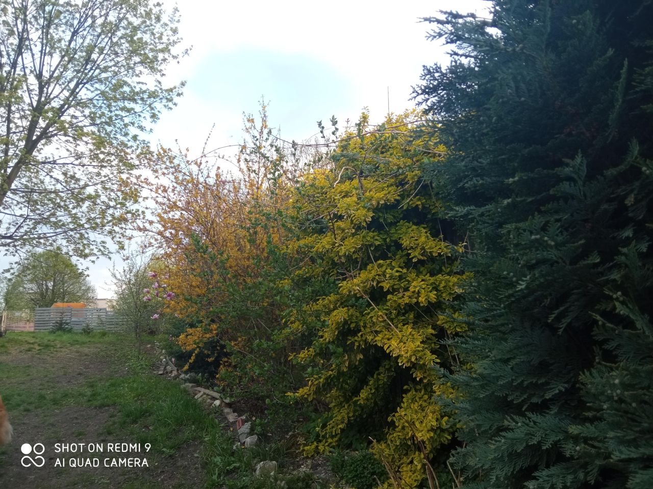 kamienica, 11 pokoi Czeladź Kolonia Rożka, ul. Stanisława Staszica. Zdjęcie 10