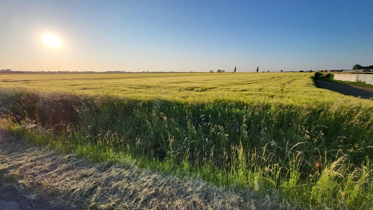 Działka rolno-budowlana Konary. Zdjęcie 10