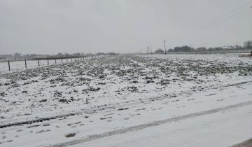 Działka rolno-budowlana Kurów, ul. Wiśniowa