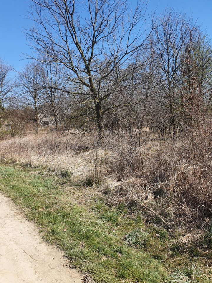 dom wolnostojący, 3 pokoje Okleśna. Zdjęcie 10