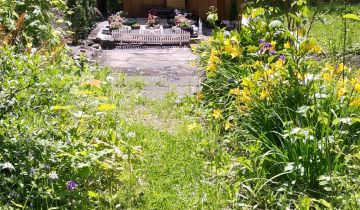 Działka rod Gliwice Zatorze, ul. Towarowa