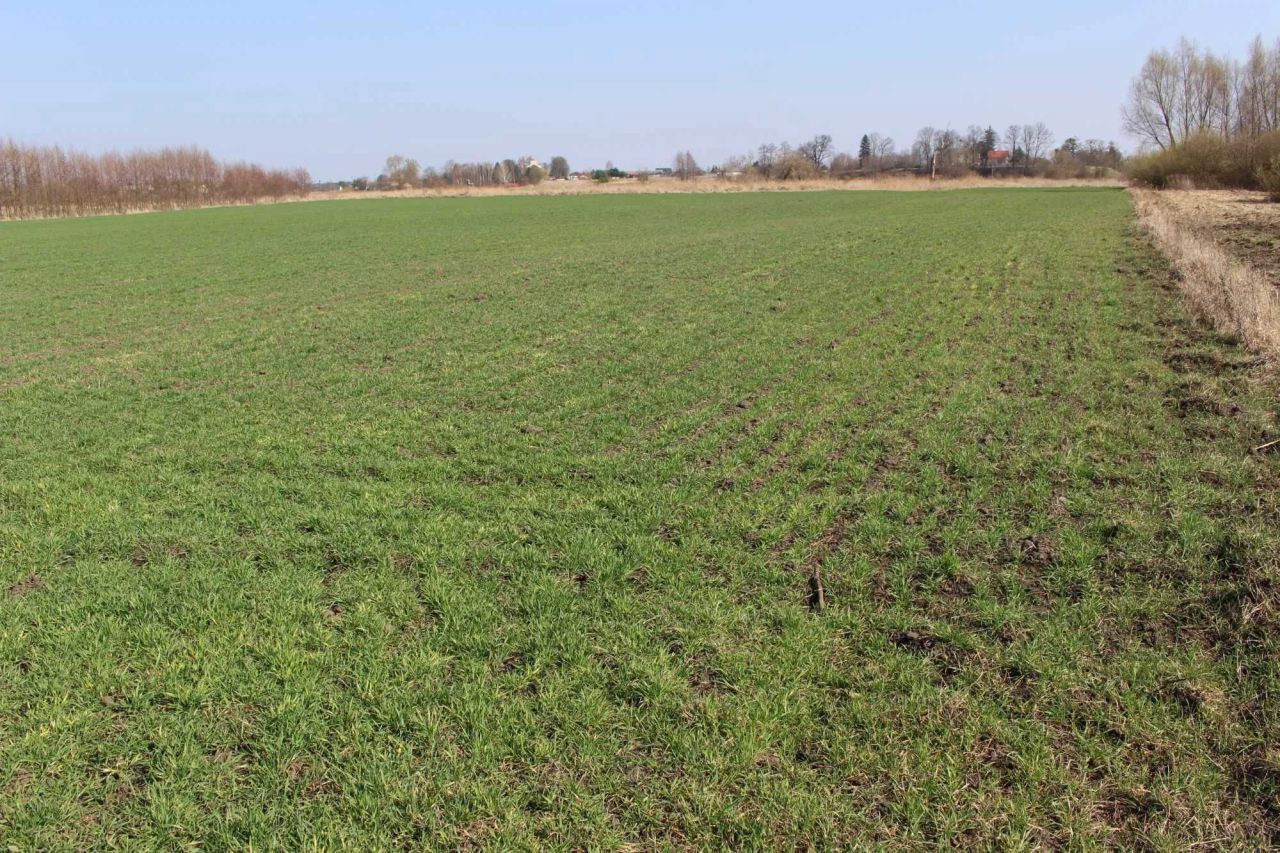 Działka rolna Chomaszewo