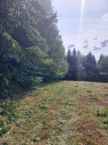 Działka rekreacyjna Jaroszówka. Zdjęcie 2