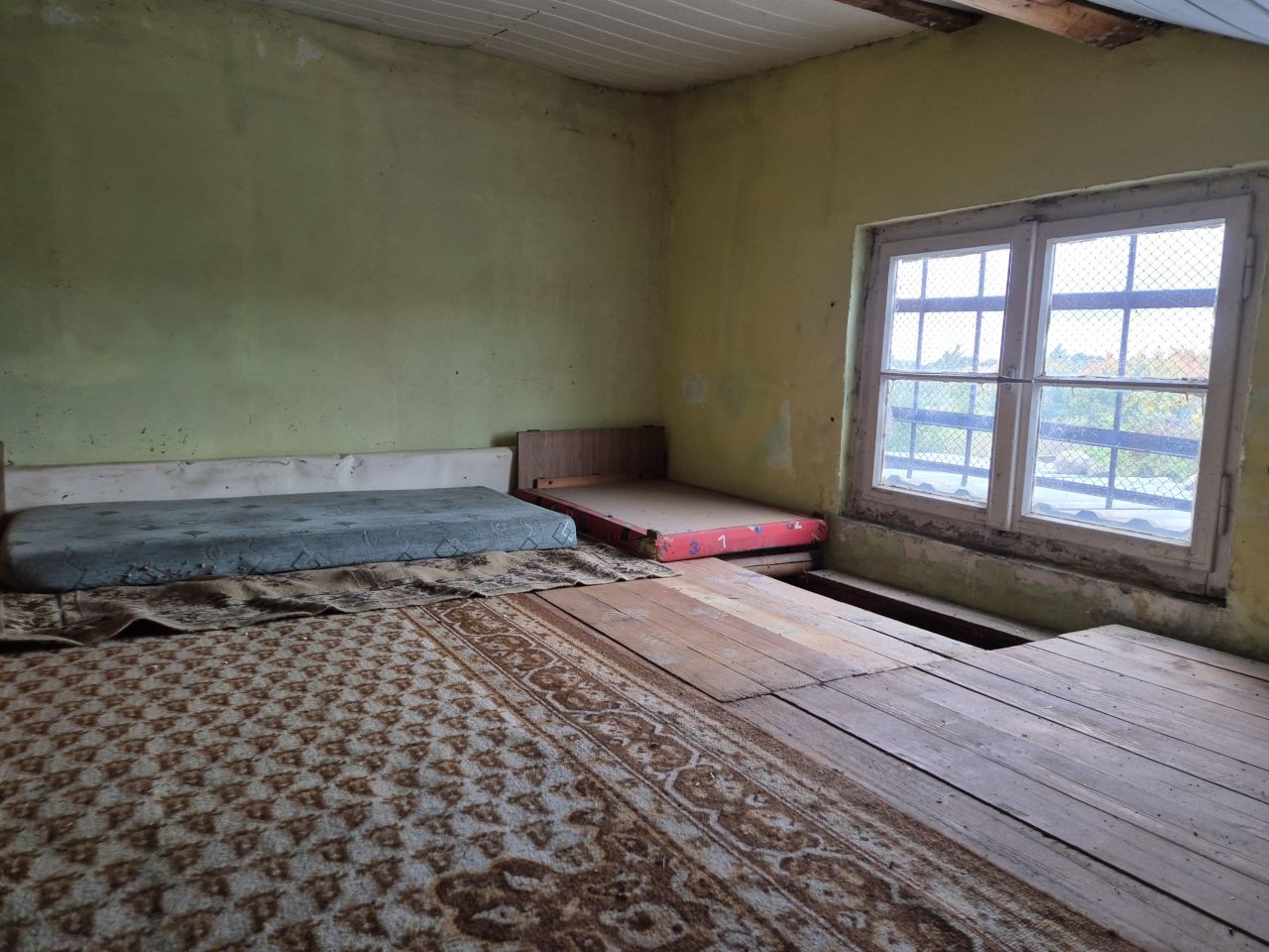 Działka rekreacyjna Żary, ul. Henryka Wieniawskiego. Zdjęcie 8