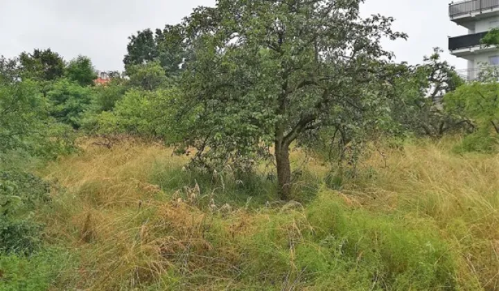 Działka inwestycyjna Rawicz, ul. gen. Józefa Hallera