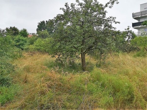 Działka inwestycyjna Rawicz, ul. gen. Józefa Hallera