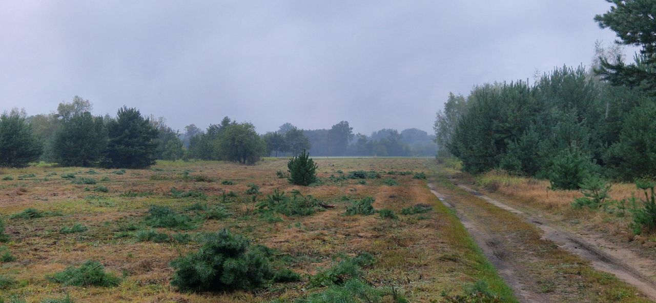 Działka rolno-budowlana Secymin Polski. Zdjęcie 4