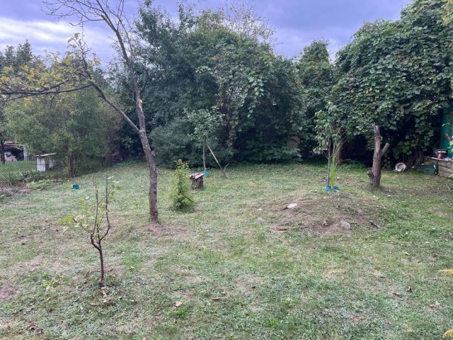 Działka rod Radom, ul. Wincentego Witosa. Zdjęcie 1