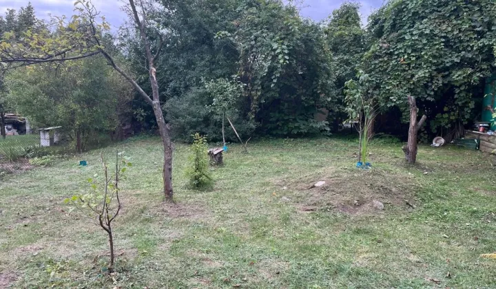 Działka rod Radom, ul. Wincentego Witosa