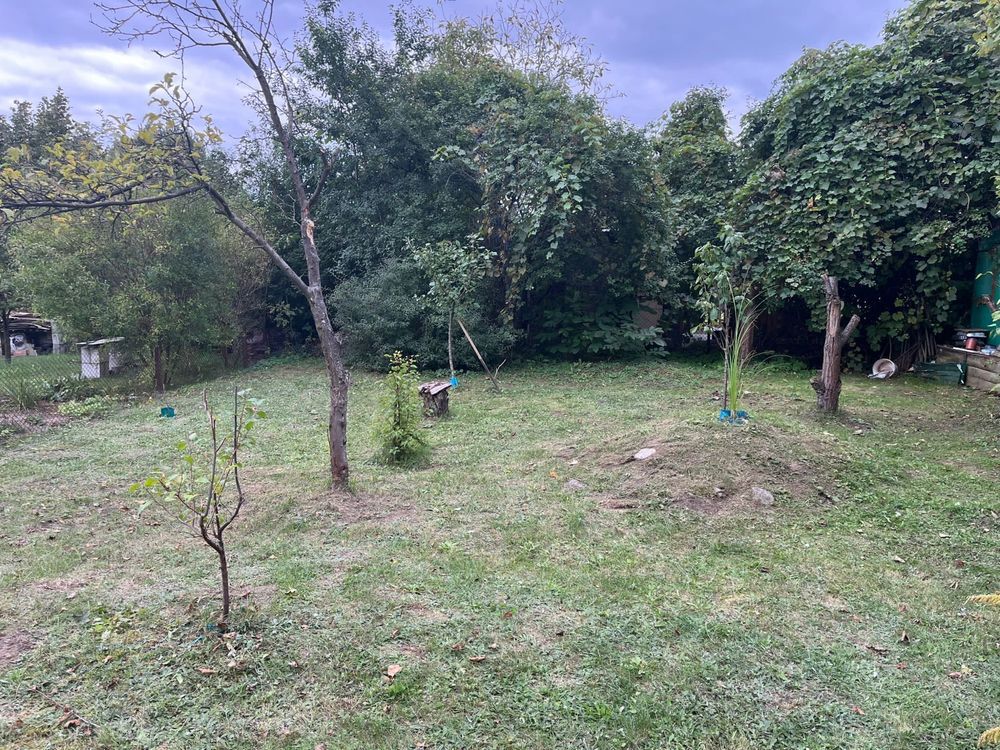 Działka rod Radom, ul. Wincentego Witosa. Zdjęcie 1