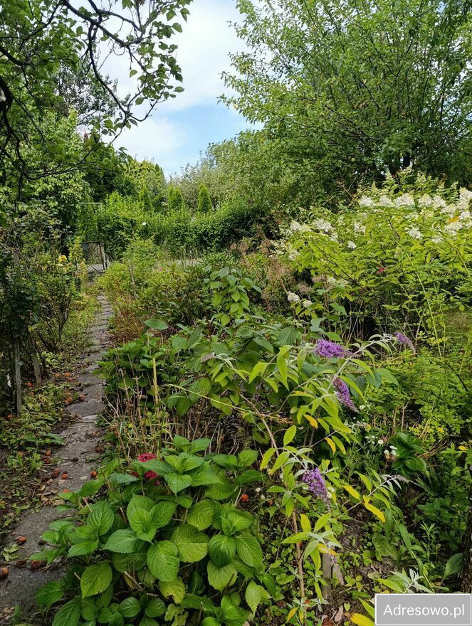 Działka rod Warszawa Włochy. Zdjęcie 6