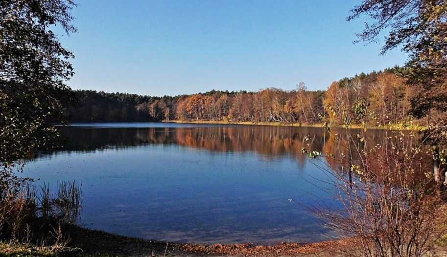 Działka budowlana Dzikowo. Zdjęcie 2