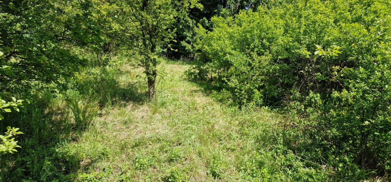 Działka budowlana Rokitno Szlacheckie. Zdjęcie 4