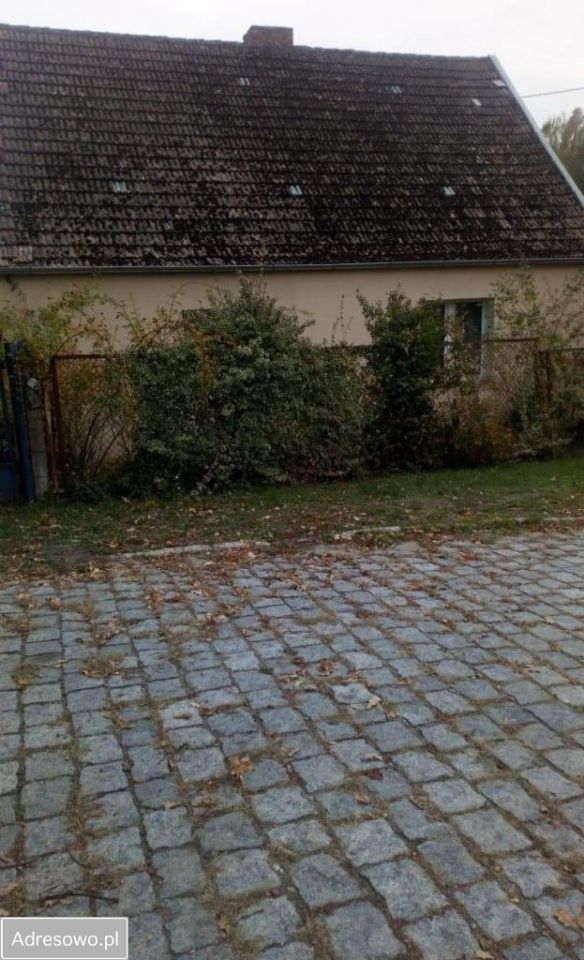 dom wolnostojący, 5 pokoi Prostynia. Zdjęcie 17