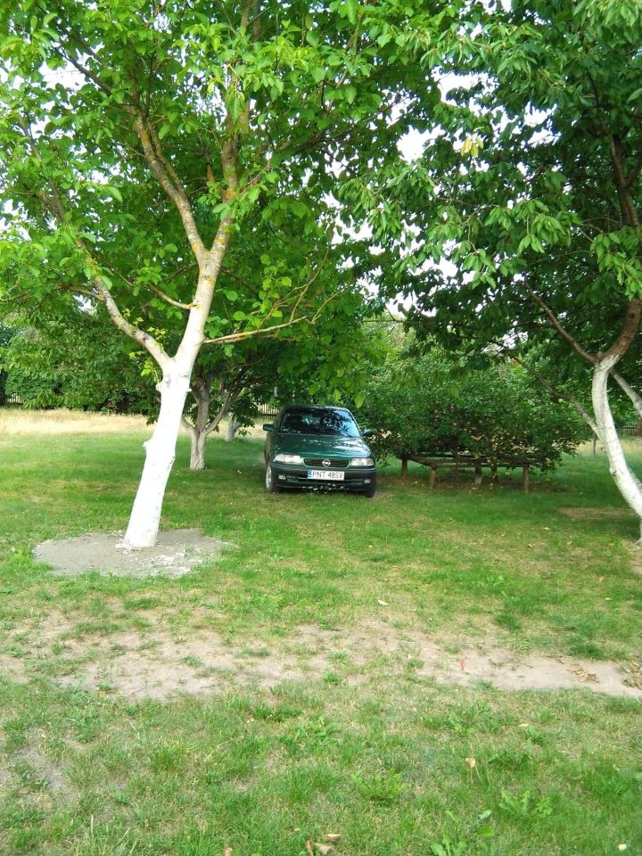 dom, 3 pokoje Piotry