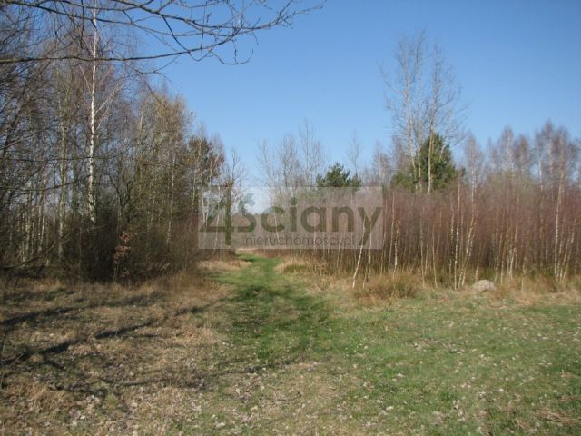 Działka budowlana Wierzchowisko. Zdjęcie 3