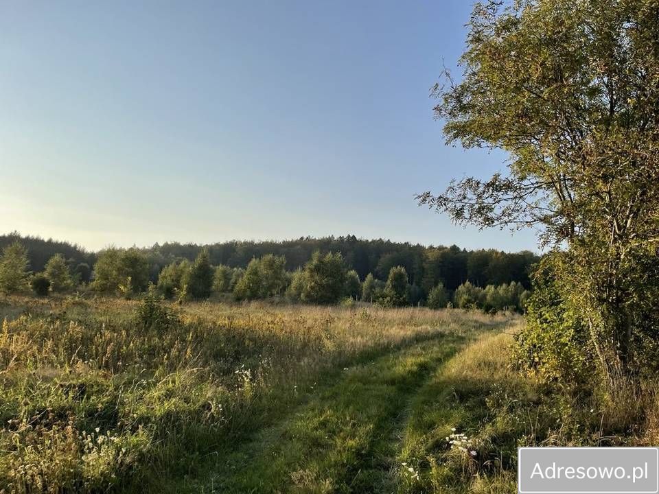Działka rolna Mechowo. Zdjęcie 6