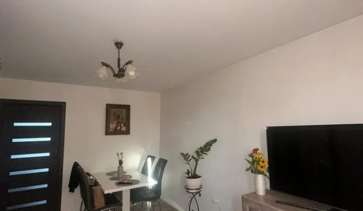 Mieszkanie 3-pokojowe Domaniewice