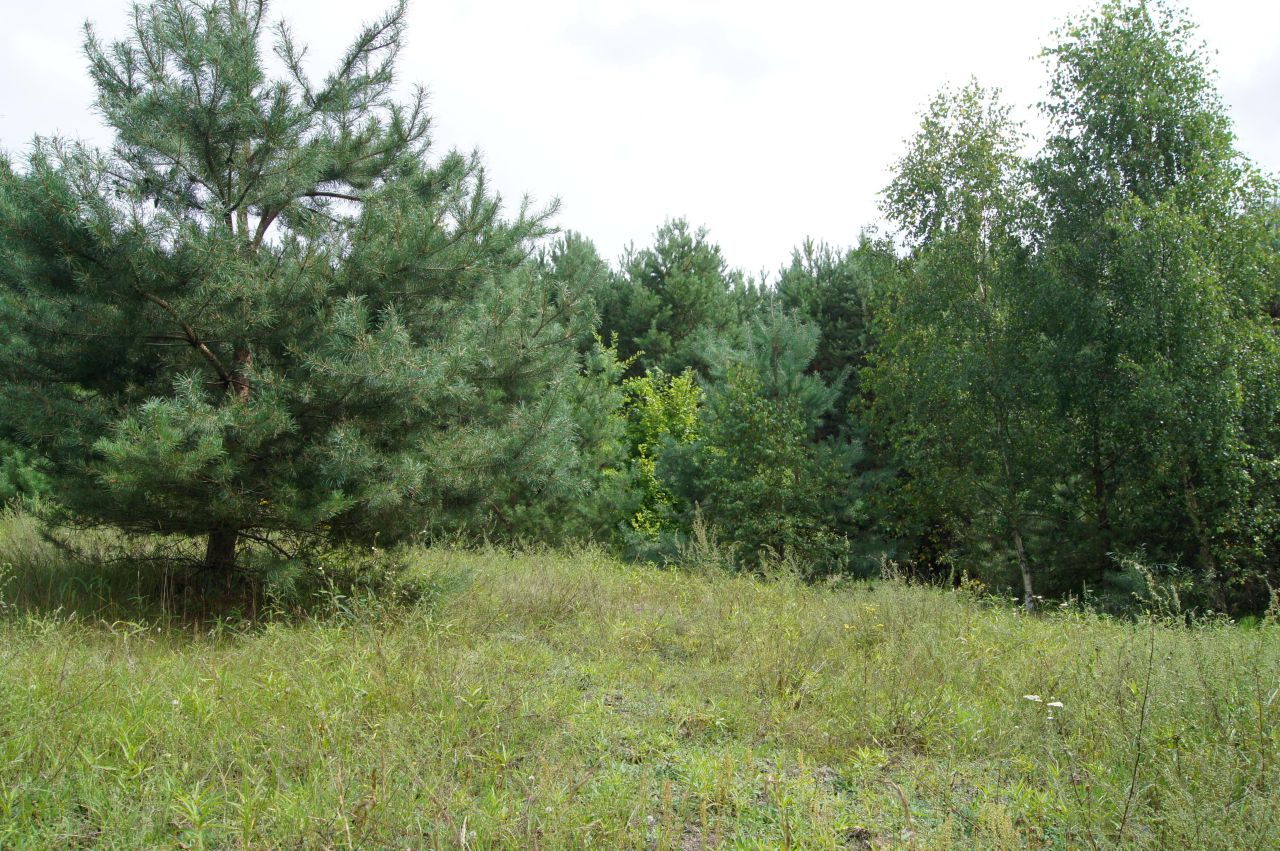 Działka budowlana Nagodów. Zdjęcie 7