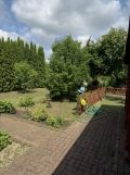 Działka rod Słubice, ul. Porzeczkowa. Zdjęcie 4