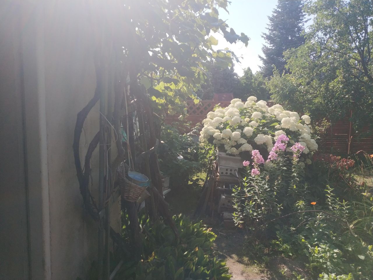 Działka rod Poznań Ławica, ul. Bukowska. Zdjęcie 3