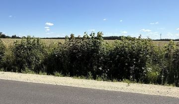 Działka inna Polaki
