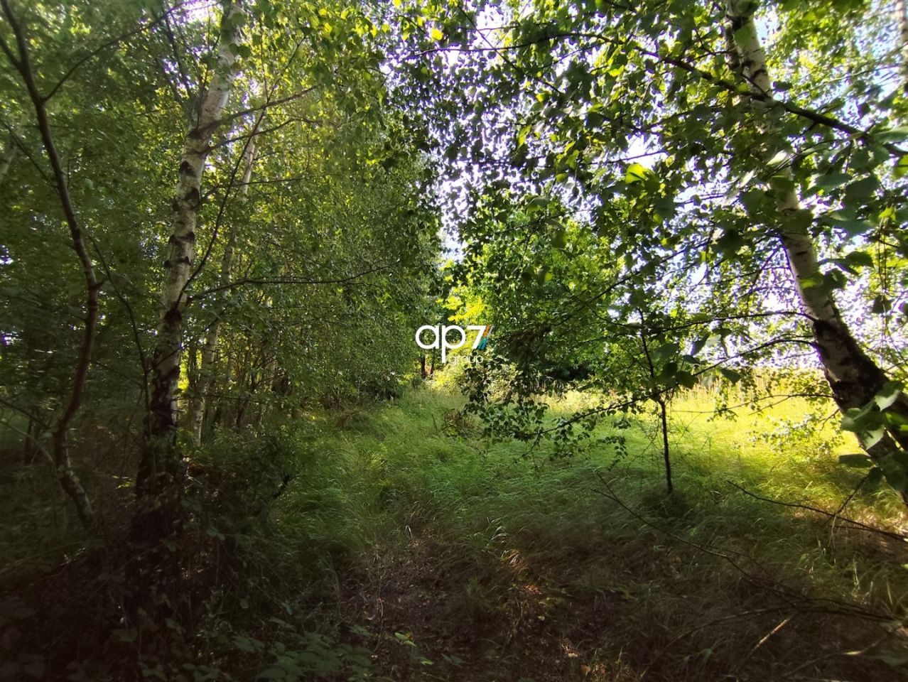 Działka rolna Bodzanów. Zdjęcie 4