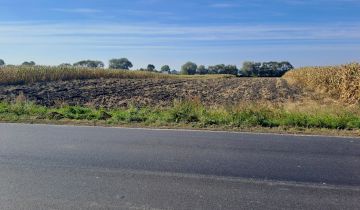 Działka inwestycyjna Depułtycze Królewskie-Kolonia