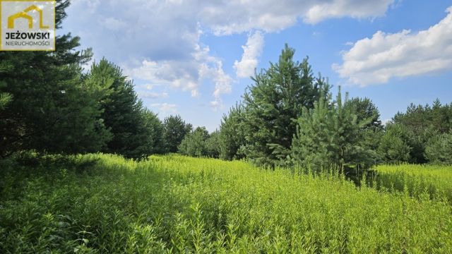Działka budowlana Kolonia Góra Puławska. Zdjęcie 3