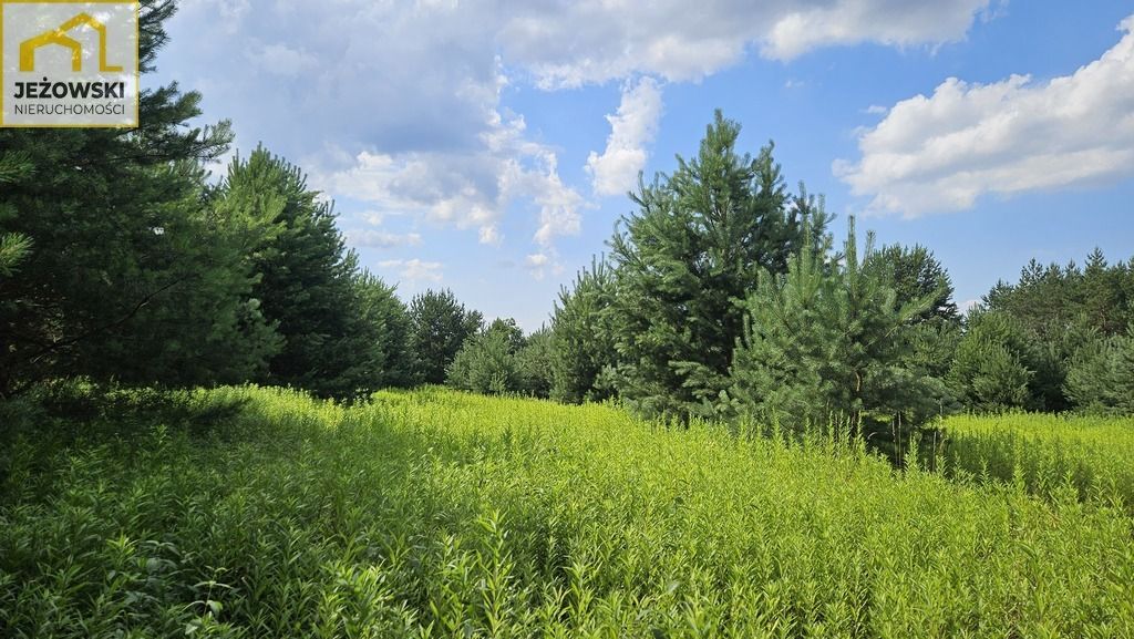 Działka budowlana Kolonia Góra Puławska. Zdjęcie 3