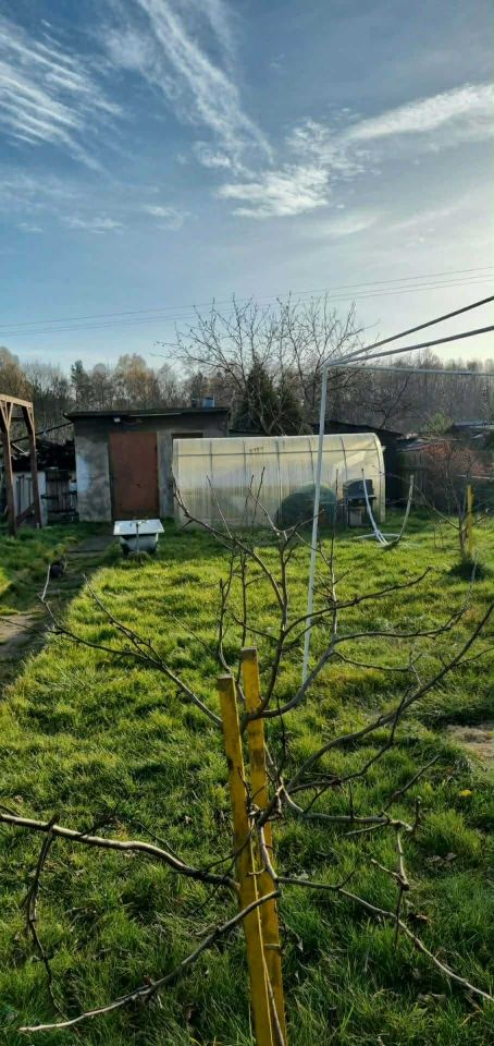 Działka rod Miasteczko Śląskie. Zdjęcie 2