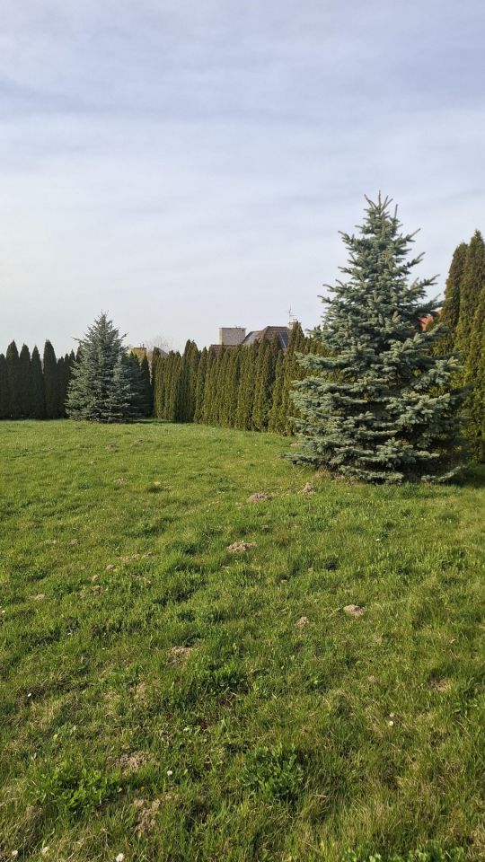 dom wolnostojący, 4 pokoje Krasne Góry. Zdjęcie 4