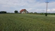 Działka rolno-budowlana Świdry. Zdjęcie 1