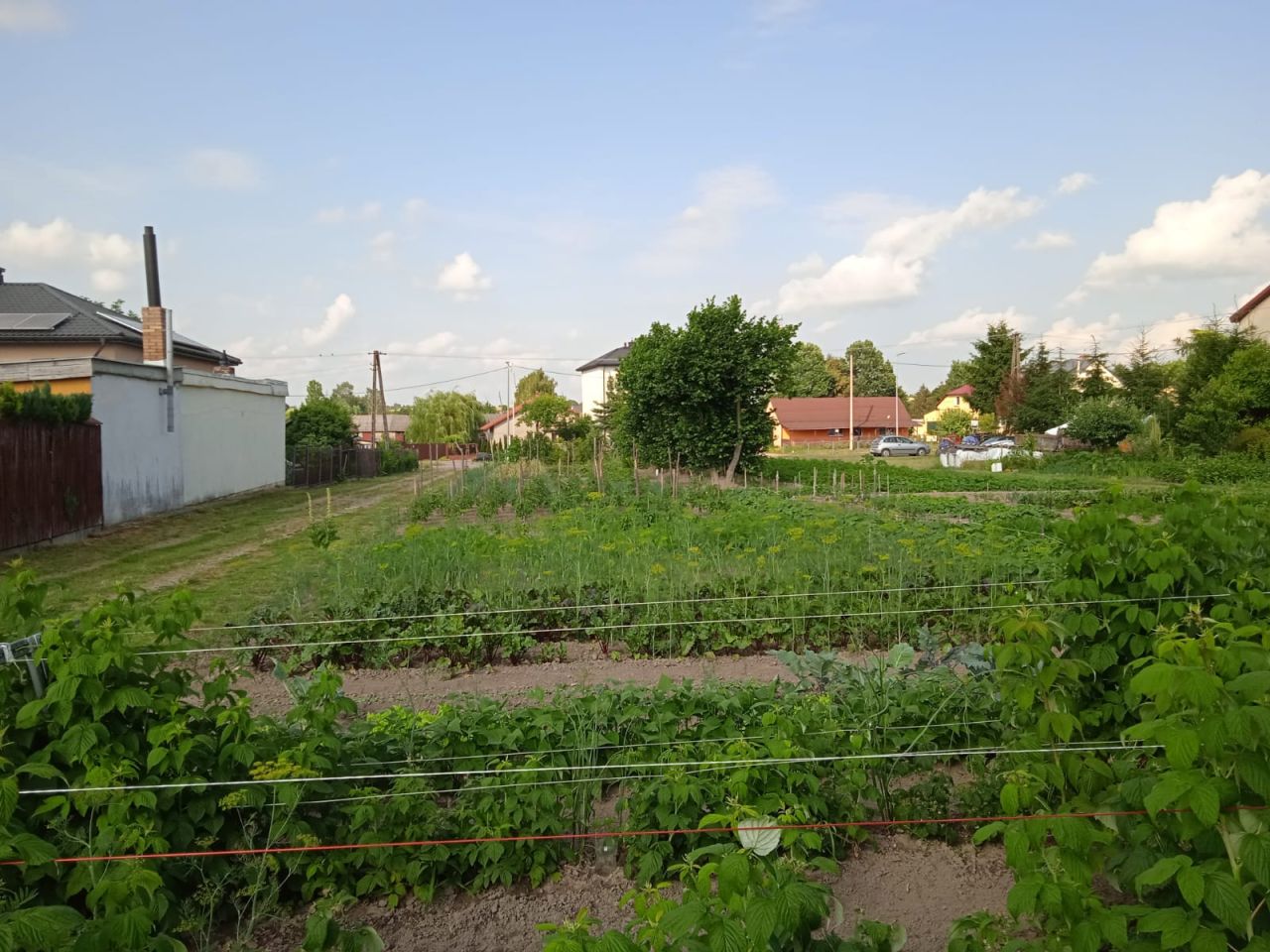 Działka budowlana Mętów. Zdjęcie 7