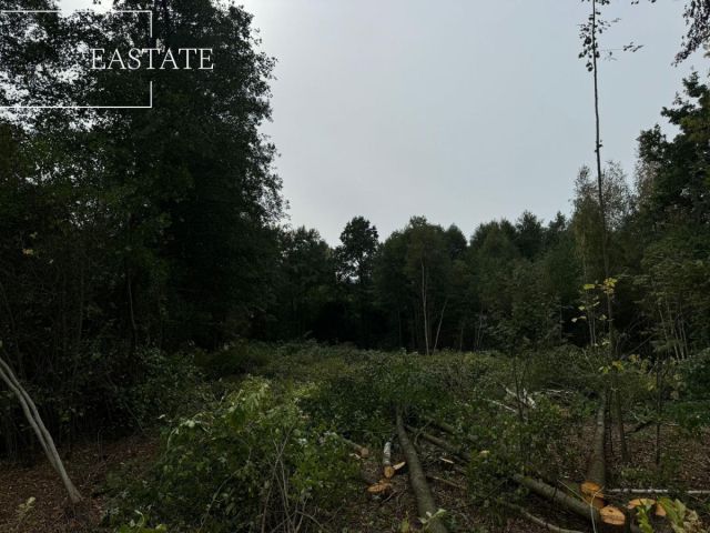 Działka rolna Miąse, ul. Jana Pawła II. Zdjęcie 3