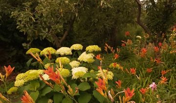 Działka rod Włocławek Ruda, Ruda