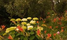 Działka rod Włocławek Ruda. Zdjęcie 1