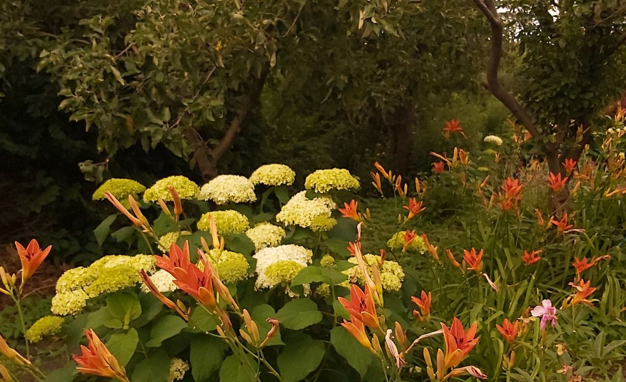 Działka rod Włocławek Ruda. Zdjęcie 2