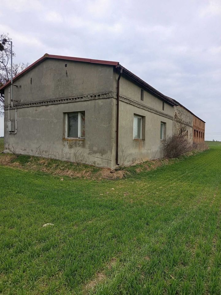 dom wolnostojący Lisewo. Zdjęcie 3