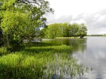 Działka budowlana Pasym, ul. Ostrów. Zdjęcie 2