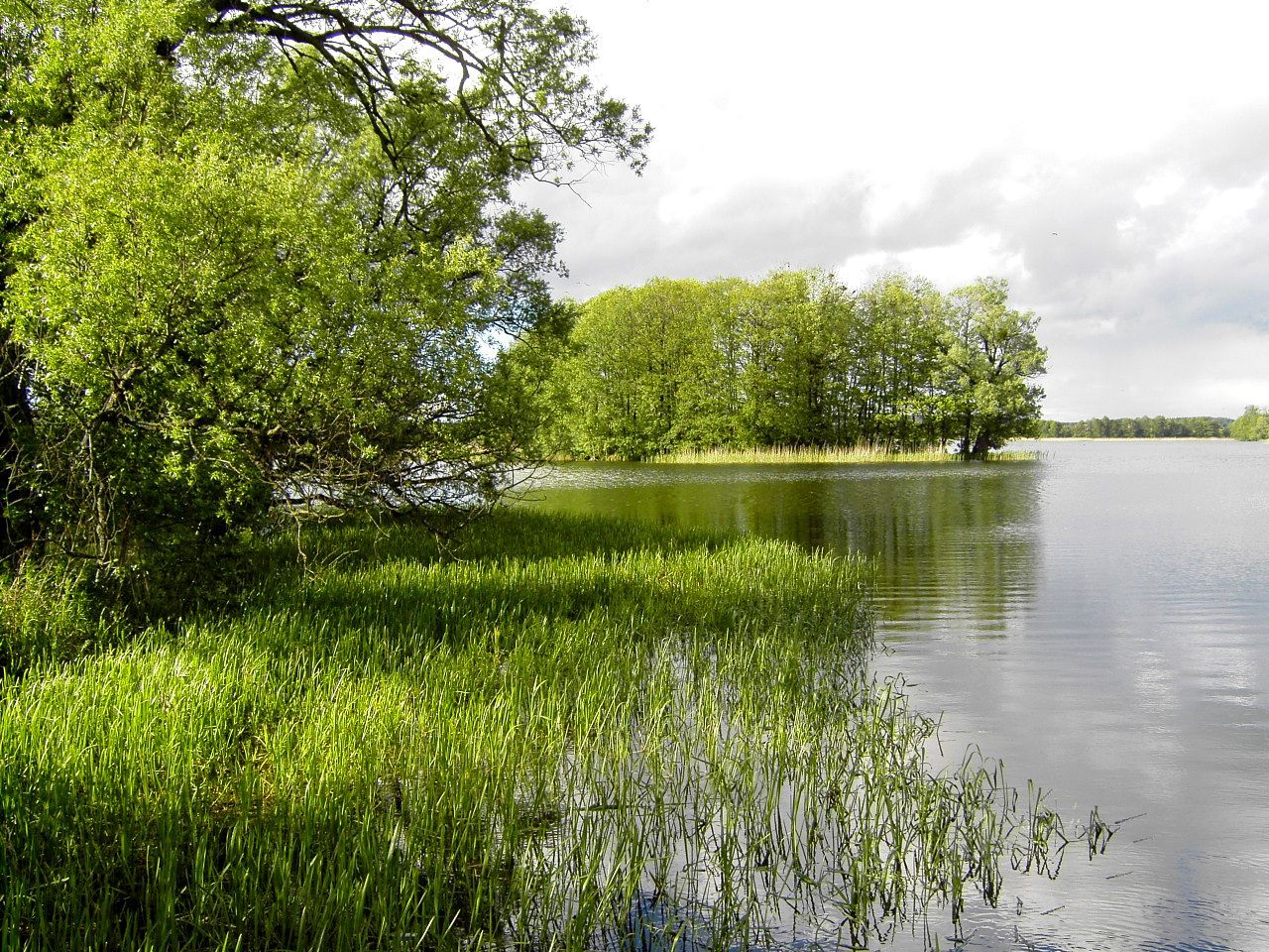 Działka budowlana Pasym, ul. Ostrów. Zdjęcie 3