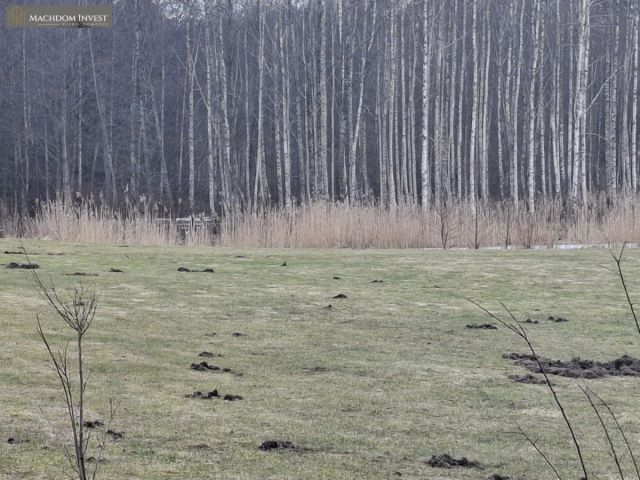 Lokal Smolajny. Zdjęcie 9