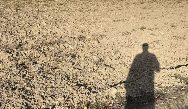 Działka budowlana Bogucin