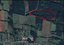 Działka leśna Zielona Góra Jarogniewice. Zdjęcie 1